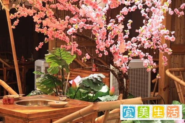 在成都发现一家宝藏青旅店铺