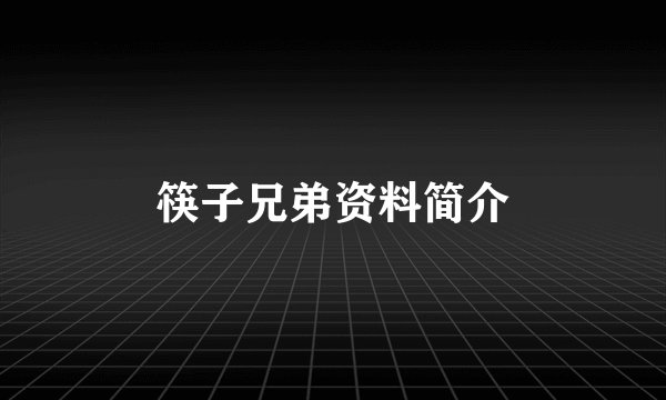 筷子兄弟资料简介