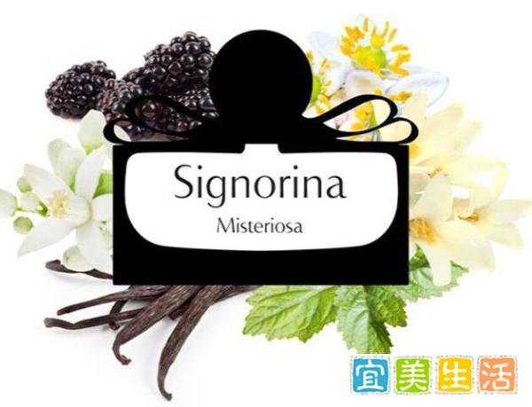 2023年七夕情人节最全送礼攻略总结，这个七夕节该如何选择礼物？