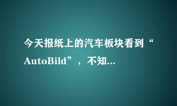 今天报纸上的汽车板块看到“AutoBild”，不知道什么意思，求?