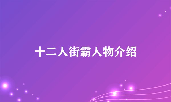 十二人街霸人物介绍