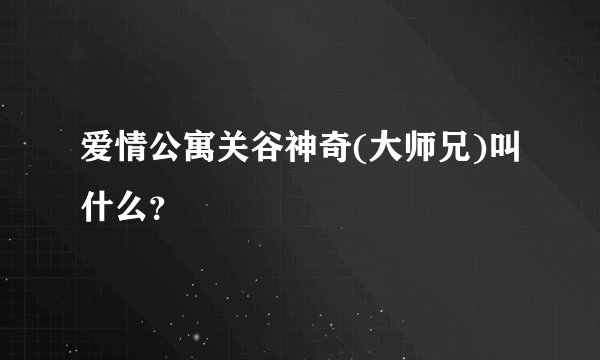 爱情公寓关谷神奇(大师兄)叫什么？
