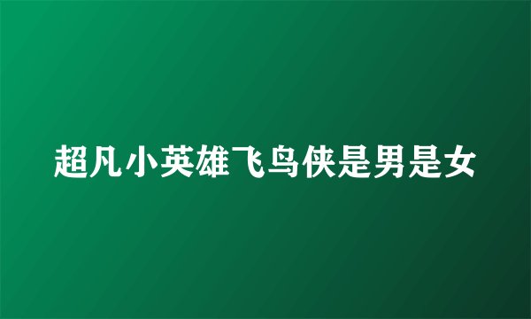 超凡小英雄飞鸟侠是男是女