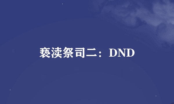 亵渎祭司二：DND