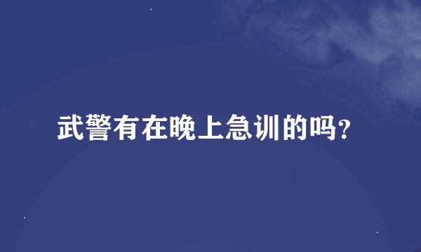 武警有在晚上急训的吗？