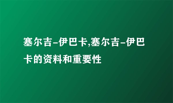 塞尔吉-伊巴卡,塞尔吉-伊巴卡的资料和重要性