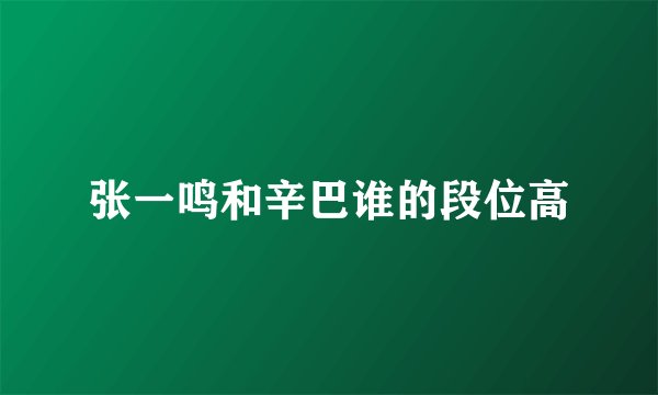 张一鸣和辛巴谁的段位高