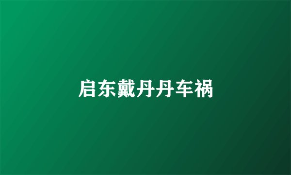 启东戴丹丹车祸