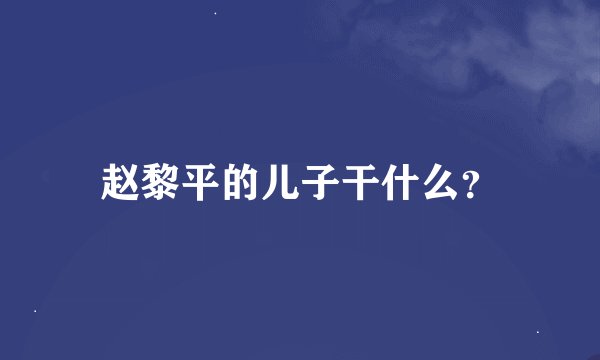 赵黎平的儿子干什么?