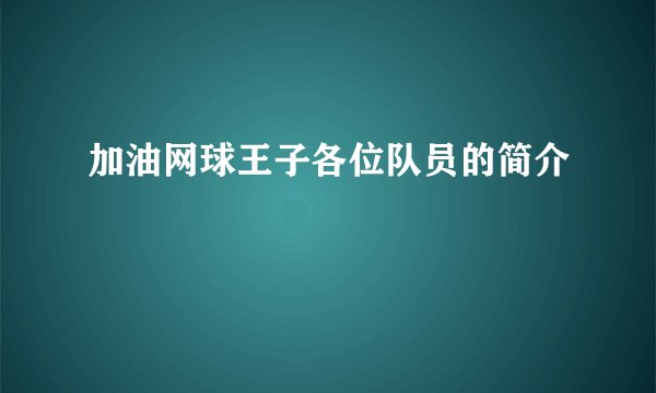 加油网球王子各位队员的简介
