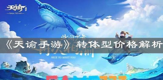 天谕手游转体型价格解析