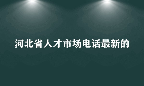 河北省人才市场电话最新的