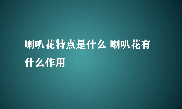 喇叭花特点是什么 喇叭花有什么作用