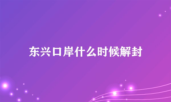东兴口岸什么时候解封