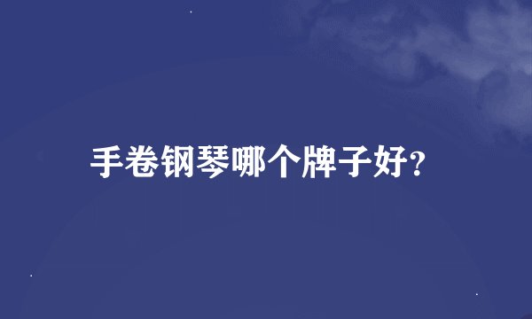 手卷钢琴哪个牌子好？