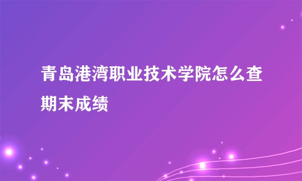 青岛港湾职业技术学院怎么查期末成绩
