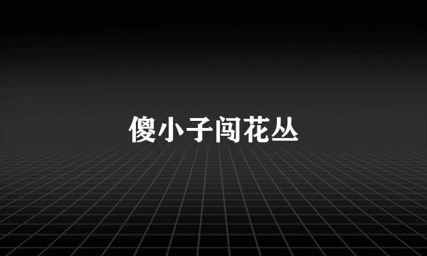傻小子闯花丛