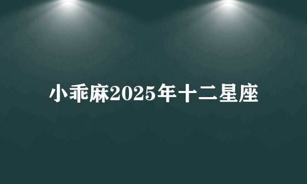 小乖麻2025年十二星座