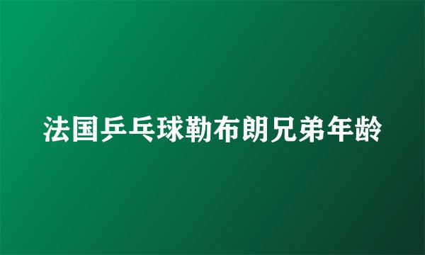 法国乒乓球勒布朗兄弟年龄