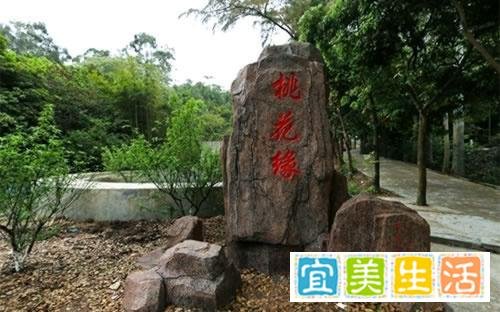 中山十大最好玩的景点---逍遥谷旅游风景区