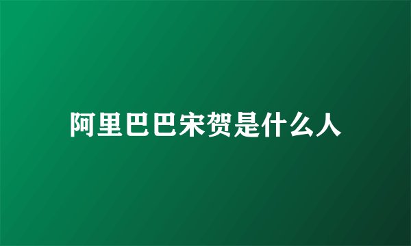 阿里巴巴宋贺是什么人