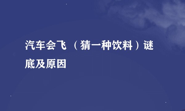 汽车会飞 （猜一种饮料）谜底及原因