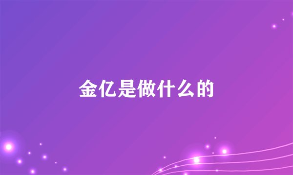 金亿是做什么的