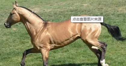 香车宝马的意思