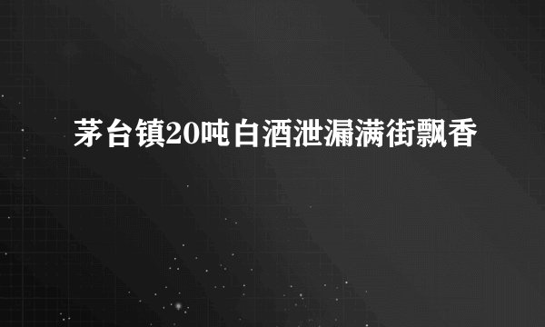 茅台镇20吨白酒泄漏满街飘香