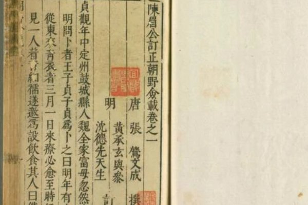 朝野佥载的读音