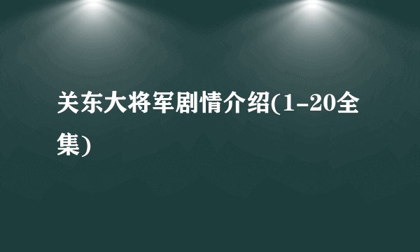关东大将军剧情介绍(1-20全集)