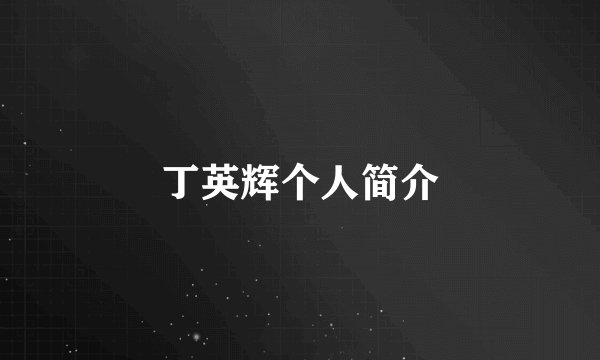 丁英辉个人简介