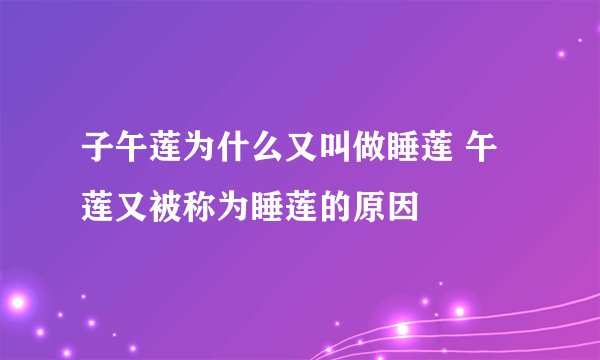 子午莲为什么又叫做睡莲 午莲又被称为睡莲的原因