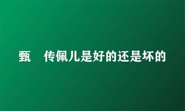 甄嬛传佩儿是好的还是坏的