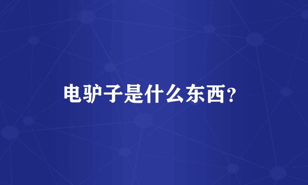 电驴子是什么东西？