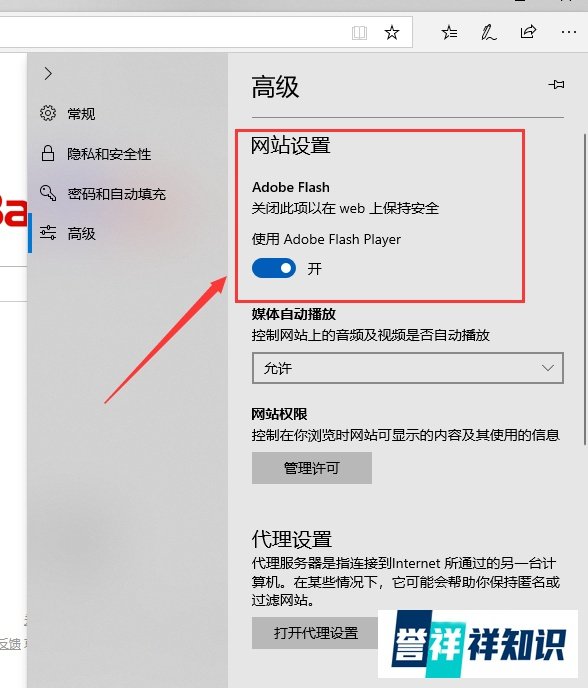开启Win10自带的浏览器Adobe Flash Player插件