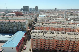 阜新“白菜房”:有中介仨月卖158套,当地房子为何如此抢手?