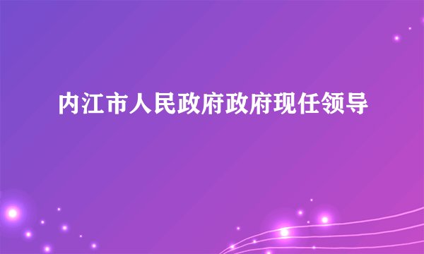 内江市人民政府政府现任领导