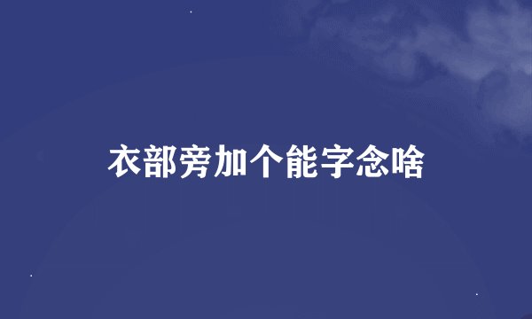 衣部旁加个能字念啥