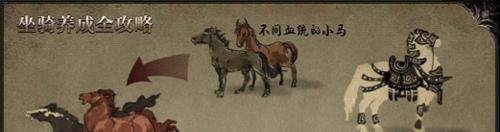 御龙在天坐骑炼化攻略