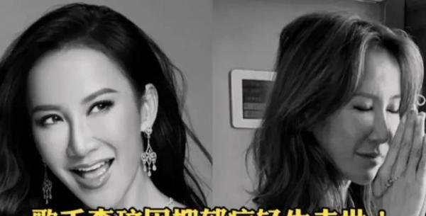 停止网暴!李玟雕像落成“烈士陵园”,被网友炮轰,官方马上回应