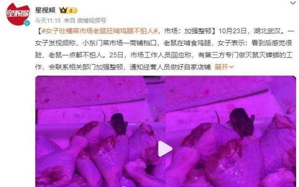 女子买菜看有老鼠狂啃食鸡腿：老鼠一点都不怕人