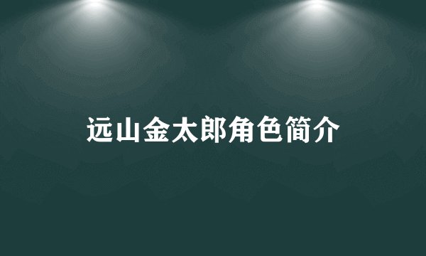 远山金太郎角色简介