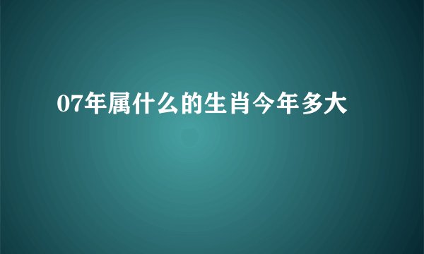 07年属什么的生肖今年多大