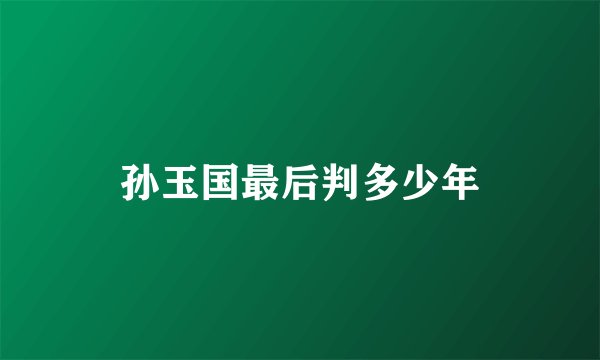 孙玉国最后判多少年