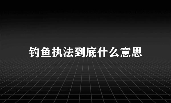 钓鱼执法到底什么意思