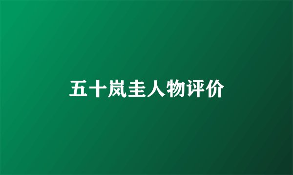 五十岚圭人物评价