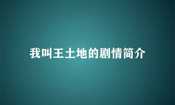 我叫王土地的剧情简介