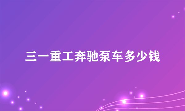 三一重工奔驰泵车多少钱