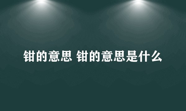 钳的意思 钳的意思是什么